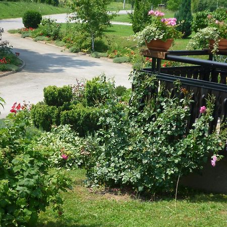 Apartments Tratincica Seliste Dreznicko Dış mekan fotoğraf