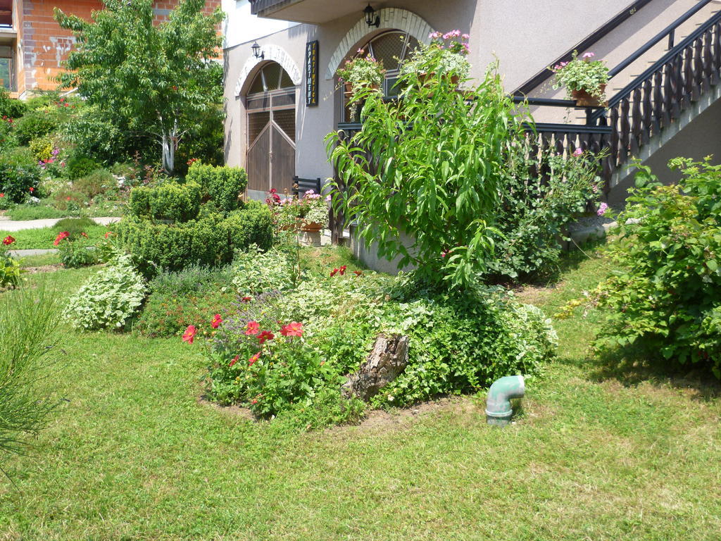 Apartments Tratincica Seliste Dreznicko Dış mekan fotoğraf