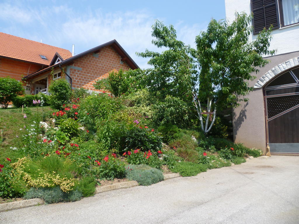 Apartments Tratincica Seliste Dreznicko Dış mekan fotoğraf