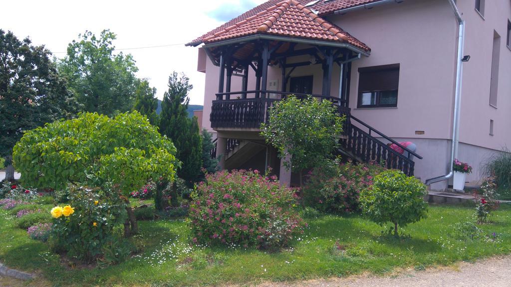 Apartments Tratincica Seliste Dreznicko Dış mekan fotoğraf