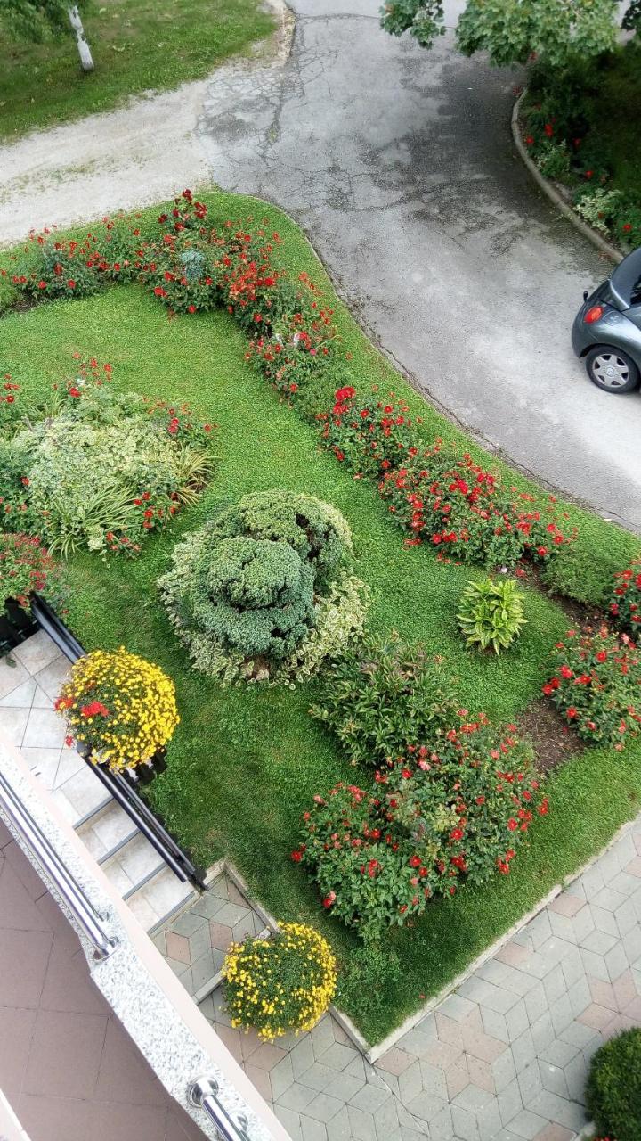 Apartments Tratincica Seliste Dreznicko Dış mekan fotoğraf